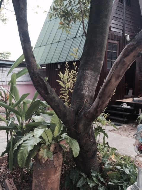 Bnr Resorts Bangkok Exterior foto